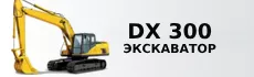 DX 300