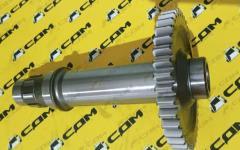 Вал с шестерней (старого образца) 272200262